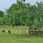 Gartenglueck, Entspannt Wohnen Am Obstwanderweg * Leichlingen