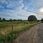Gartenglueck, Entspannt Wohnen Am Obstwanderweg Daire Leichlingen