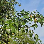 Gartenglueck, Entspannt Wohnen Am Obstwanderweg *