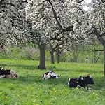 Gartenglueck, Entspannt Wohnen Am Obstwanderweg Leichlingen