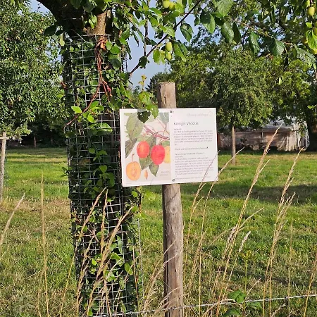 Gartenglueck, Entspannt Wohnen Am Obstwanderweg Lejlighed *