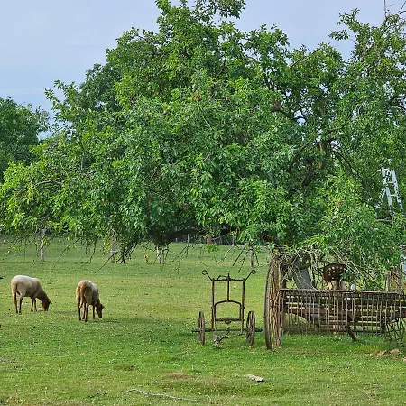 Gartenglueck, Entspannt Wohnen Am Obstwanderweg * Leichlingen