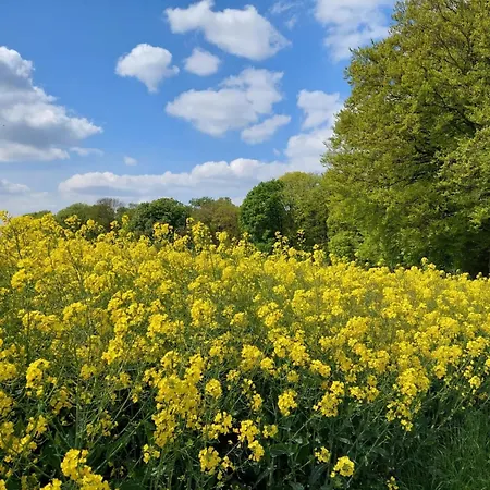 Gartenglueck, Entspannt Wohnen Am Obstwanderweg * Leichlingen
