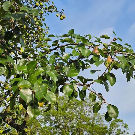 Gartenglueck, Entspannt Wohnen Am Obstwanderweg *