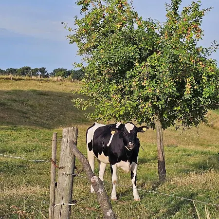 Apartmán Gartenglueck, Entspannt Wohnen Am Obstwanderweg *