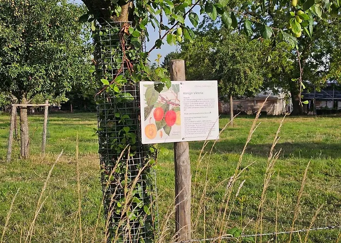 Gartenglueck, Entspannt Wohnen Am Obstwanderweg Appartamento *