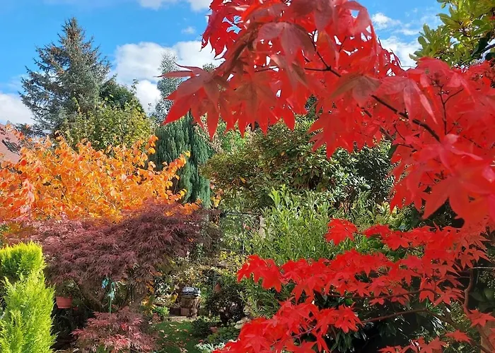Gartenglueck, Entspannt Wohnen Am Obstwanderweg Appartamento Leichlingen