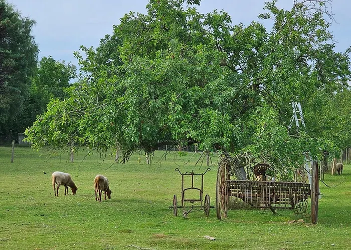 Gartenglueck, Entspannt Wohnen Am Obstwanderweg * Leichlingen