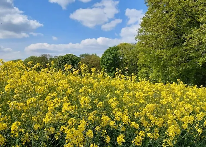 Gartenglueck, Entspannt Wohnen Am Obstwanderweg * Leichlingen