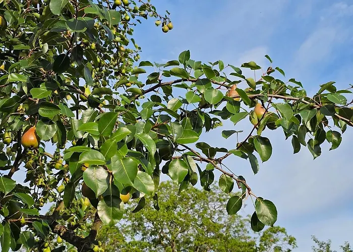Gartenglueck, Entspannt Wohnen Am Obstwanderweg *