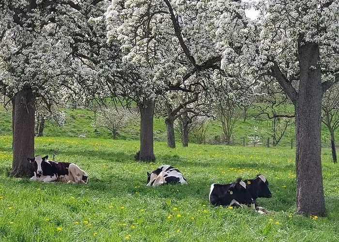 Gartenglueck, Entspannt Wohnen Am Obstwanderweg Leichlingen