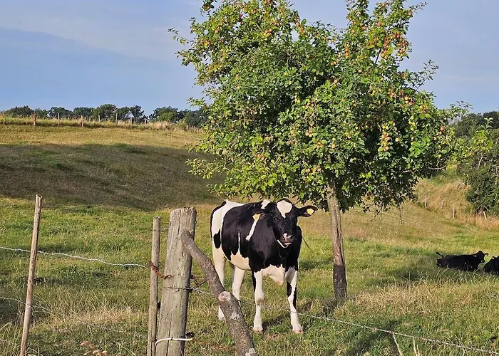 Appartamento Gartenglueck, Entspannt Wohnen Am Obstwanderweg *